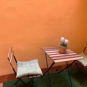  Apartment Brand New